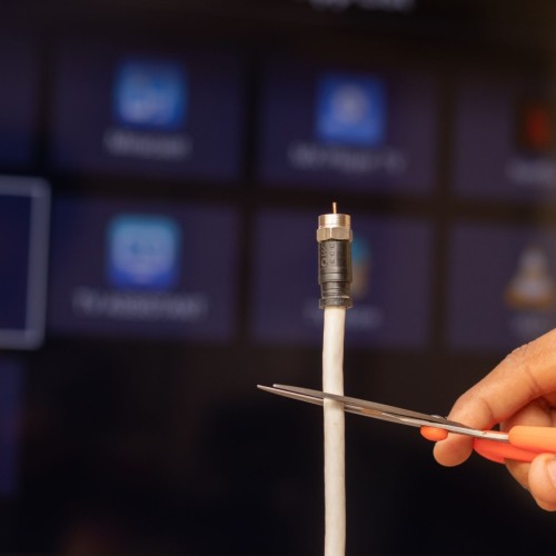 What type of video content do digital-first cord cutters and nevers prefer to watch?